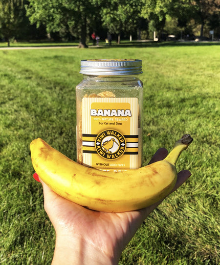 Kiwi-walker-friandises-naturelles-chien-chat-banane