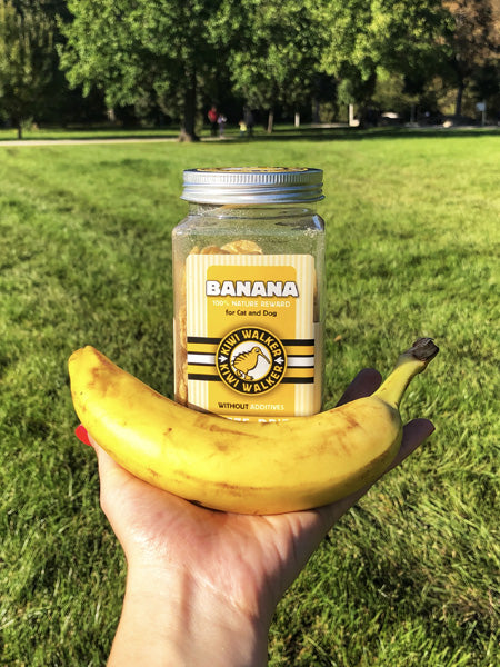 Kiwi-walker-friandises-naturelles-chien-chat-banane