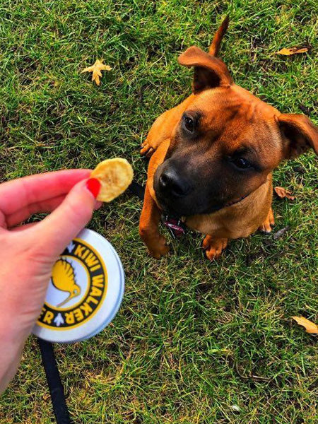 Kiwi-walker-friandises-naturelles-chien-chat-banane