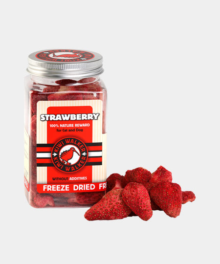 Kiwi-walker-friandises-naturelles-chien-chat-fraise