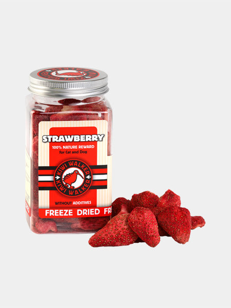 Kiwi-walker-friandises-naturelles-chien-chat-fraise