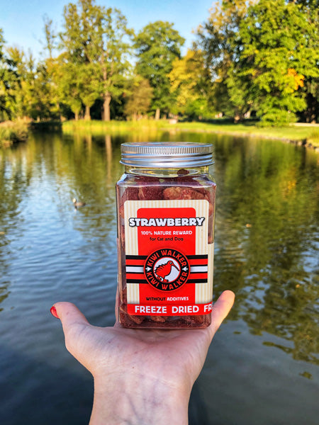 Kiwi-walker-friandises-naturelles-chien-chat-fraise