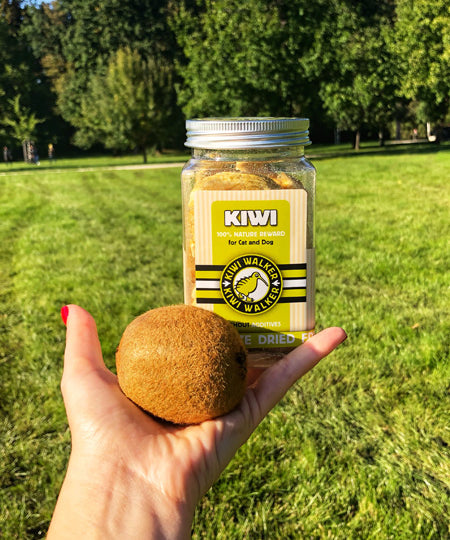 Kiwi-walker-friandises-naturelles-chien-chat-kiwi