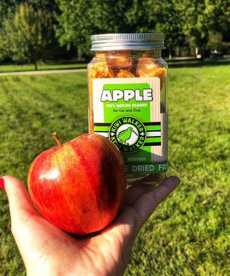 Kiwi-walker-friandises-naturelles-chien-chat-pomme