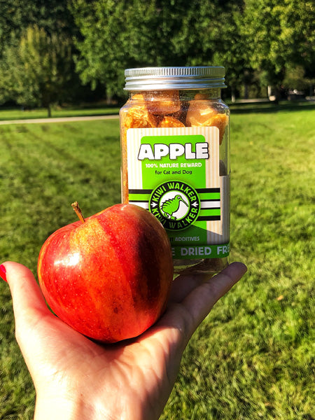 Kiwi-walker-friandises-naturelles-chien-chat-pomme