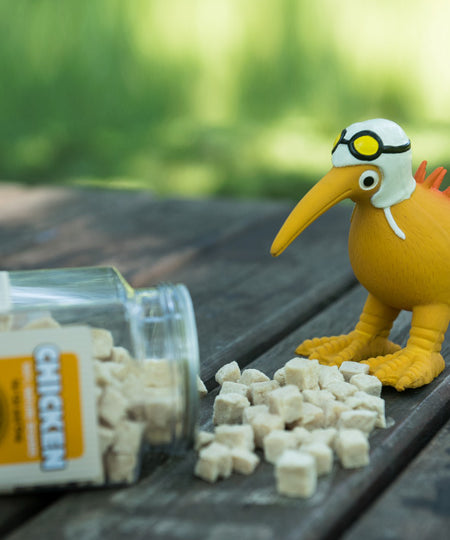 Kiwi-walker-friandises-naturelles-chien-chat-poulet