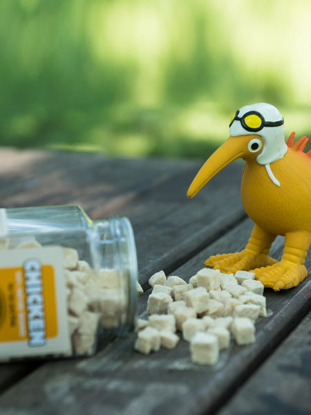 Kiwi-walker-friandises-naturelles-chien-chat-poulet