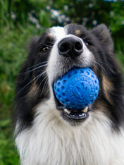 Kiwi-walker-balle-TPR-pour-chien-chiot-rose