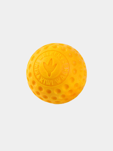 Kiwi-walker-jouet-TPR-pour-chien-chiot-balle-orange