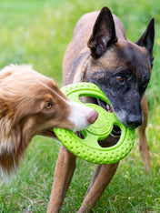 Kiwi-walker-jouet-TPR-pour-chien-chiot-frisbee-orange