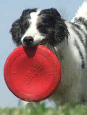 Kong-Flyer-Frisbee-pour-chien-Classic-Taille-L