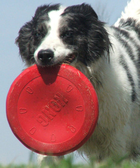 Kong-Flyer-Frisbee-pour-chien-Classic-Taille-L