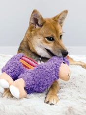 Kong-jouet-chien-KONG-Sherps-llama