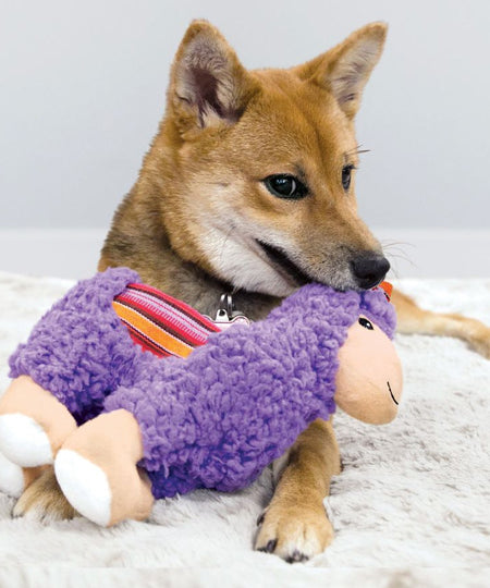 Kong-jouet-chien-KONG-Sherps-llama