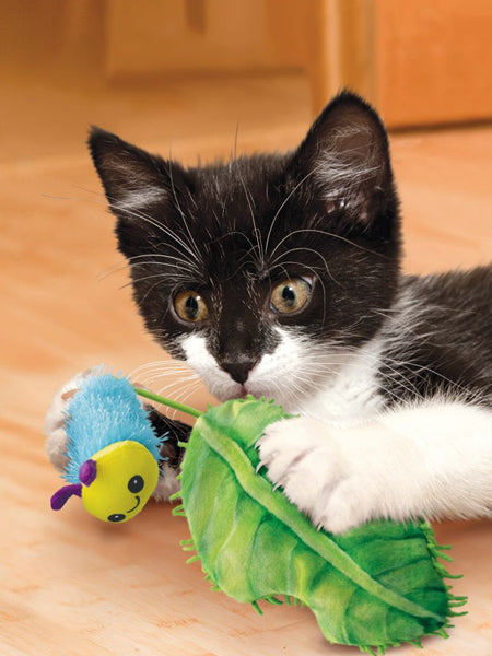 Kong-jouet-pour-chat-Flingaroo-CATerpillar