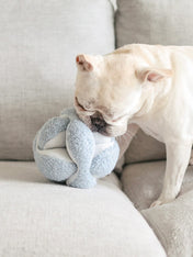 Lambwolf-Collective-jouet-BALLE-FOUILLE-design-minimalist-pour-chien-MONTI-bleu