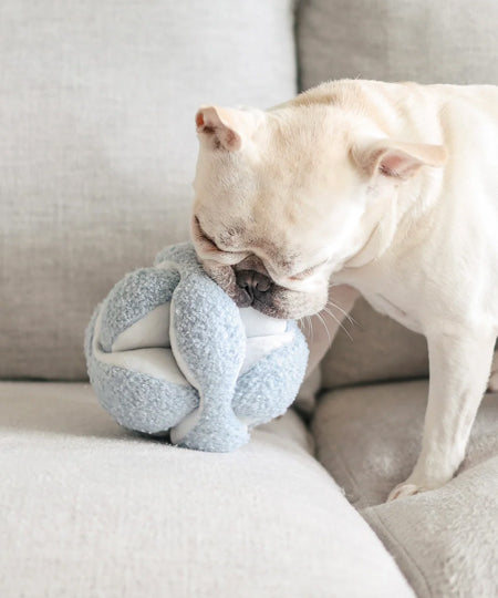 Lambwolf-Collective-jouet-BALLE-FOUILLE-design-minimalist-pour-chien-MONTI-bleu