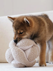 Lambwolf-Collective-jouet-BALLE-FOUILLE-design-minimalist-pour-chien-MONTI-sable