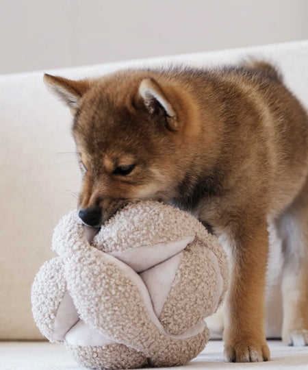 Lambwolf-Collective-jouet-BALLE-FOUILLE-design-minimalist-pour-chien-MONTI-sable