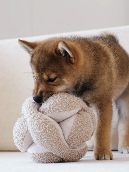 Lambwolf-Collective-jouet-BALLE-FOUILLE-design-minimalist-pour-chien-MONTI-sable