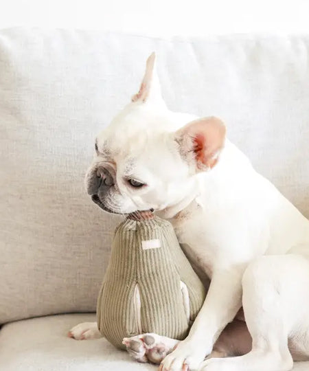 Lambwolf-Collective-jouet-design-minimalist-pour-chien-Butternut