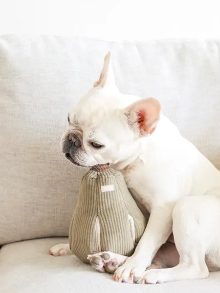 Lambwolf-Collective-jouet-design-minimalist-pour-chien-Butternut