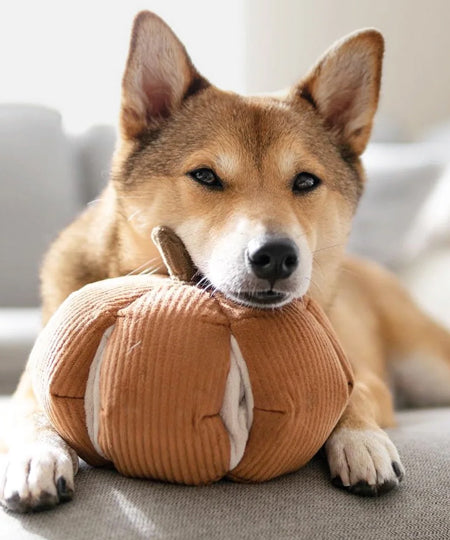 Lambwolf-Collective-jouet-design-minimalist-pour-chien-citrouille