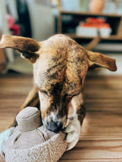 Lambwolf-Collective-jouet-fouille-design-pour-chien-guu-champignon