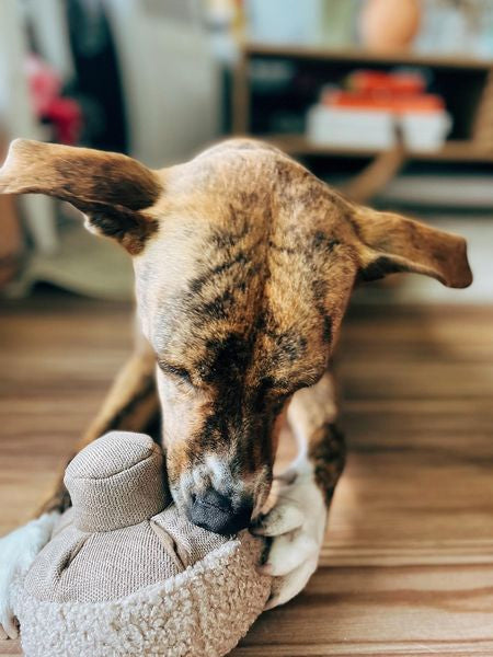 Lambwolf-Collective-jouet-fouille-design-pour-chien-guu-champignon