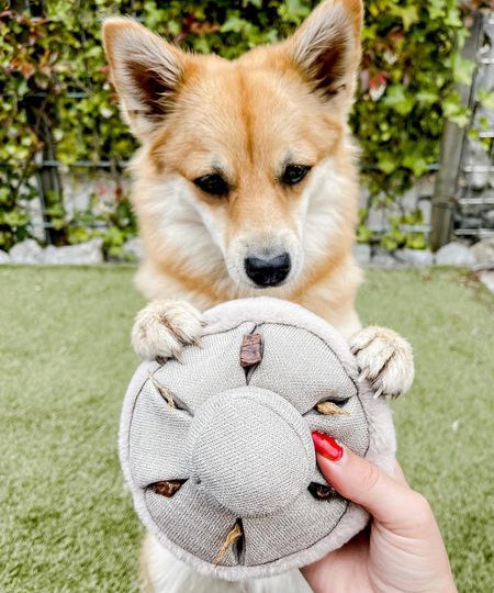 Lambwolf-Collective-jouet-fouille-design-pour-chien-guu-champignon