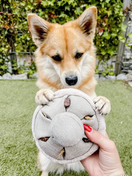 Lambwolf-Collective-jouet-fouille-design-pour-chien-guu-champignon