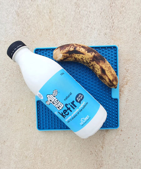 Lickimat-tapis-lechage-occupation-chien-soother-pro-bleu