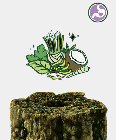 Lily_s-Kitchen-friandises-pour-chien-woofbrush-stick-dentaire-medium