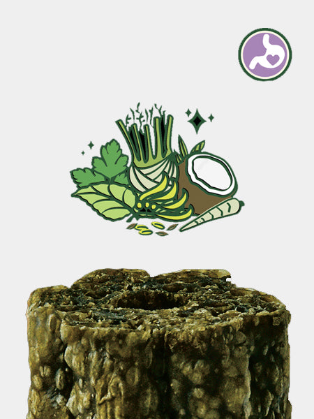 Lily_s-Kitchen-friandises-pour-chien-woofbrush-stick-dentaire-medium