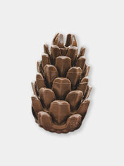 Loblolly-Pinecone-Puzzle-interactif-fouille-pour-chien-pomme-de-pin