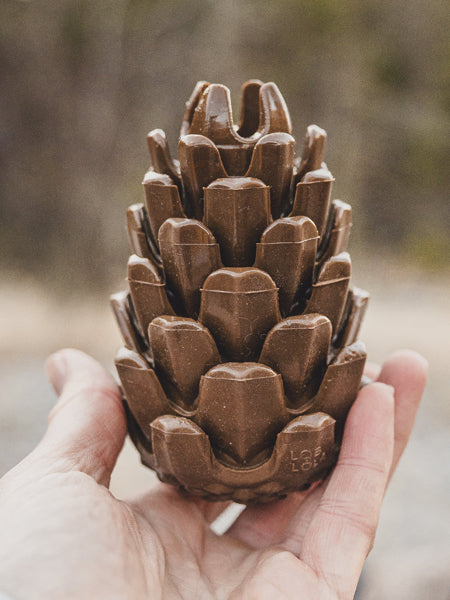 Loblolly-Pinecone-Puzzle-interactif-fouille-pour-chien-pomme-de-pin