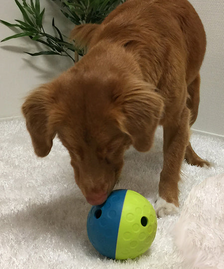 Outward-hound-jouet-interactif-puzzle-Tumble-pour-chien-small-bleu