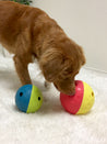        Outward-hound-jouet-interactif-puzzle-Tumble-pour-chien-small-bleu