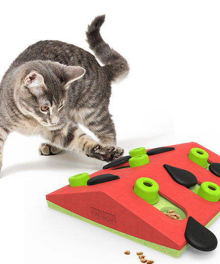 Outward-hound-jouet-interactif-puzzle-pour-chat-Melon-Madness
