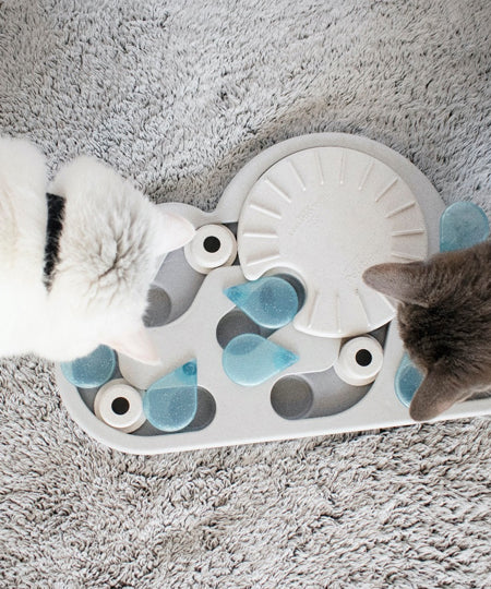 Outward-hound-jouet-interactif-puzzle-pour-chat-Rainy-day