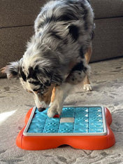 Outward-hound-jouet-interactif-puzzle-pour-chien-ChallengeSlider