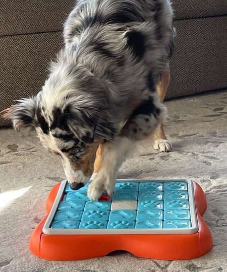 Outward-hound-jouet-interactif-puzzle-pour-chien-ChallengeSlider