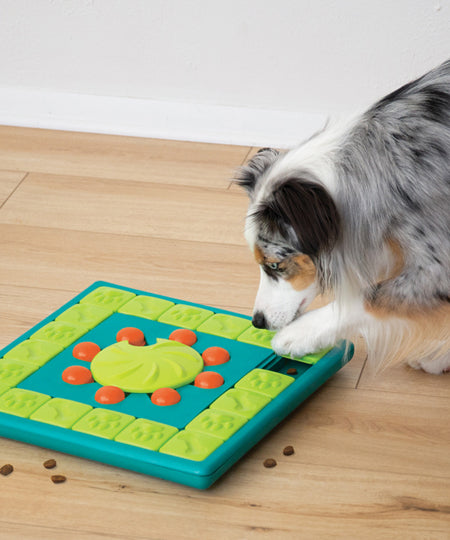 Outward-hound-jouet-interactif-puzzle-pour-chien-Multipuzzle