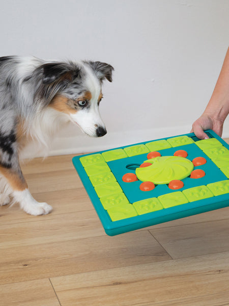 Outward-hound-jouet-interactif-puzzle-pour-chien-Multipuzzle