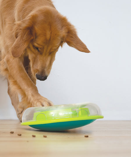 Outward-hound-jouet-interactif-puzzle-pour-chien-WobbleBowl