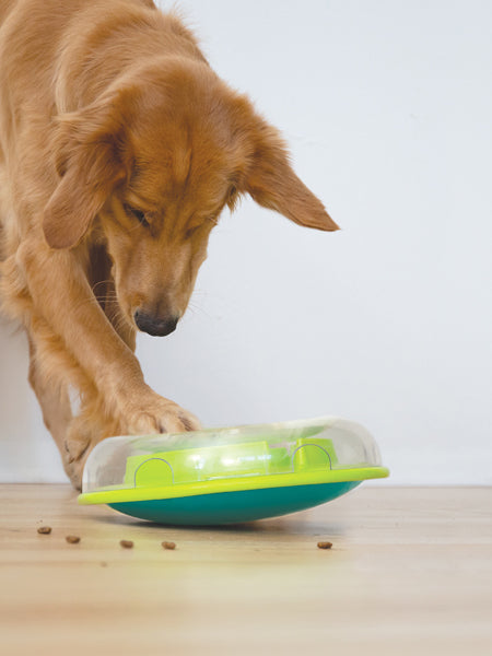 Outward-hound-jouet-interactif-puzzle-pour-chien-WobbleBowl