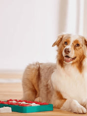 Outward-hound-jouet-interactif-puzzle-pour-chien-dog-brick-2