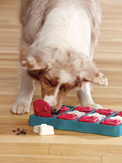 Outward-hound-jouet-interactif-puzzle-pour-chien-dog-brick