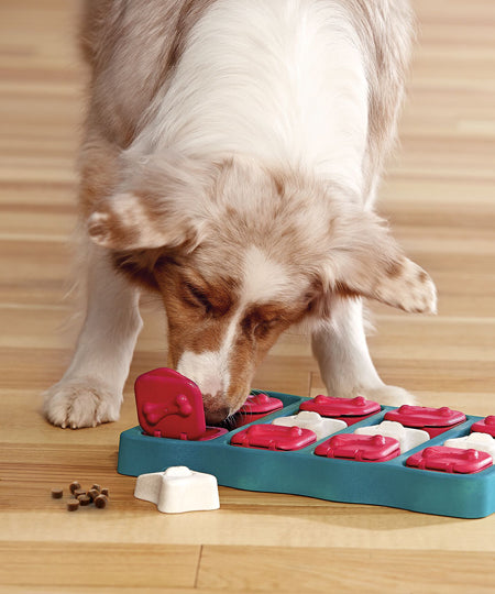 Outward-hound-jouet-interactif-puzzle-pour-chien-dog-brick