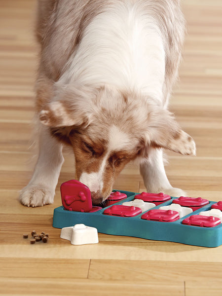 Outward-hound-jouet-interactif-puzzle-pour-chien-dog-brick